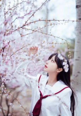 喜剧之王综艺_超清高清视频播放